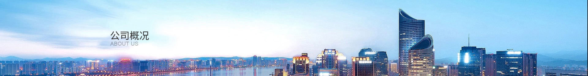 企業簡介
